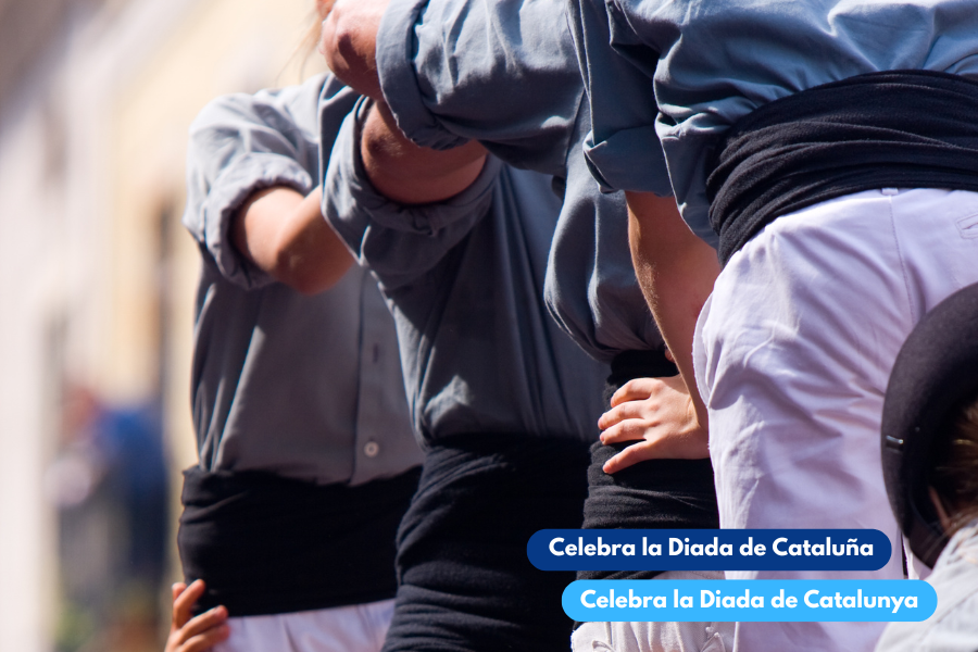 Celebra la Diada de Catalunya, viatjant amb BusPlana