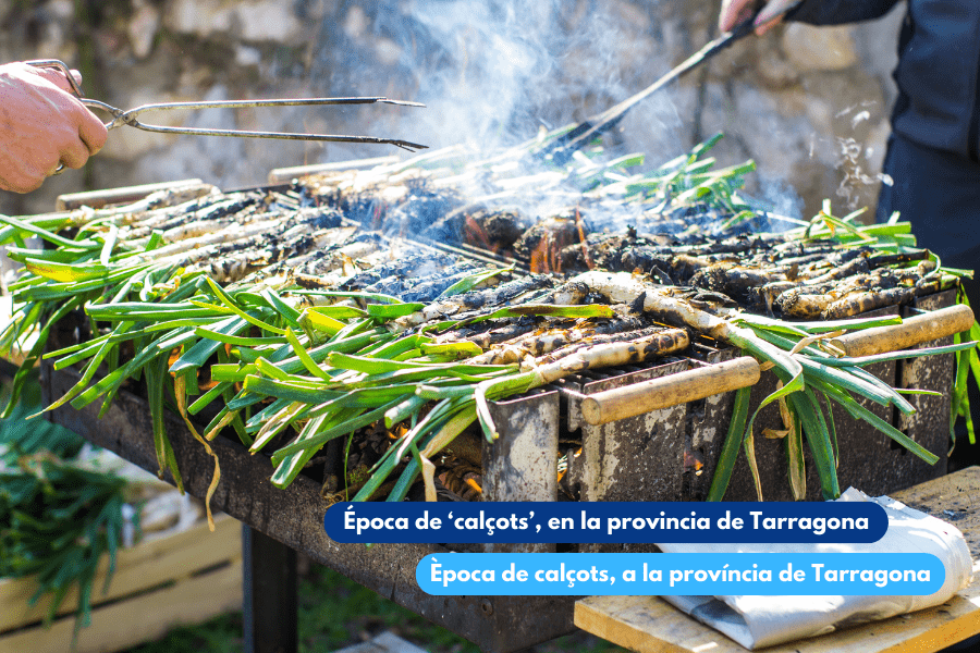 Época de ‘calçots’, en la provincia de Tarragona